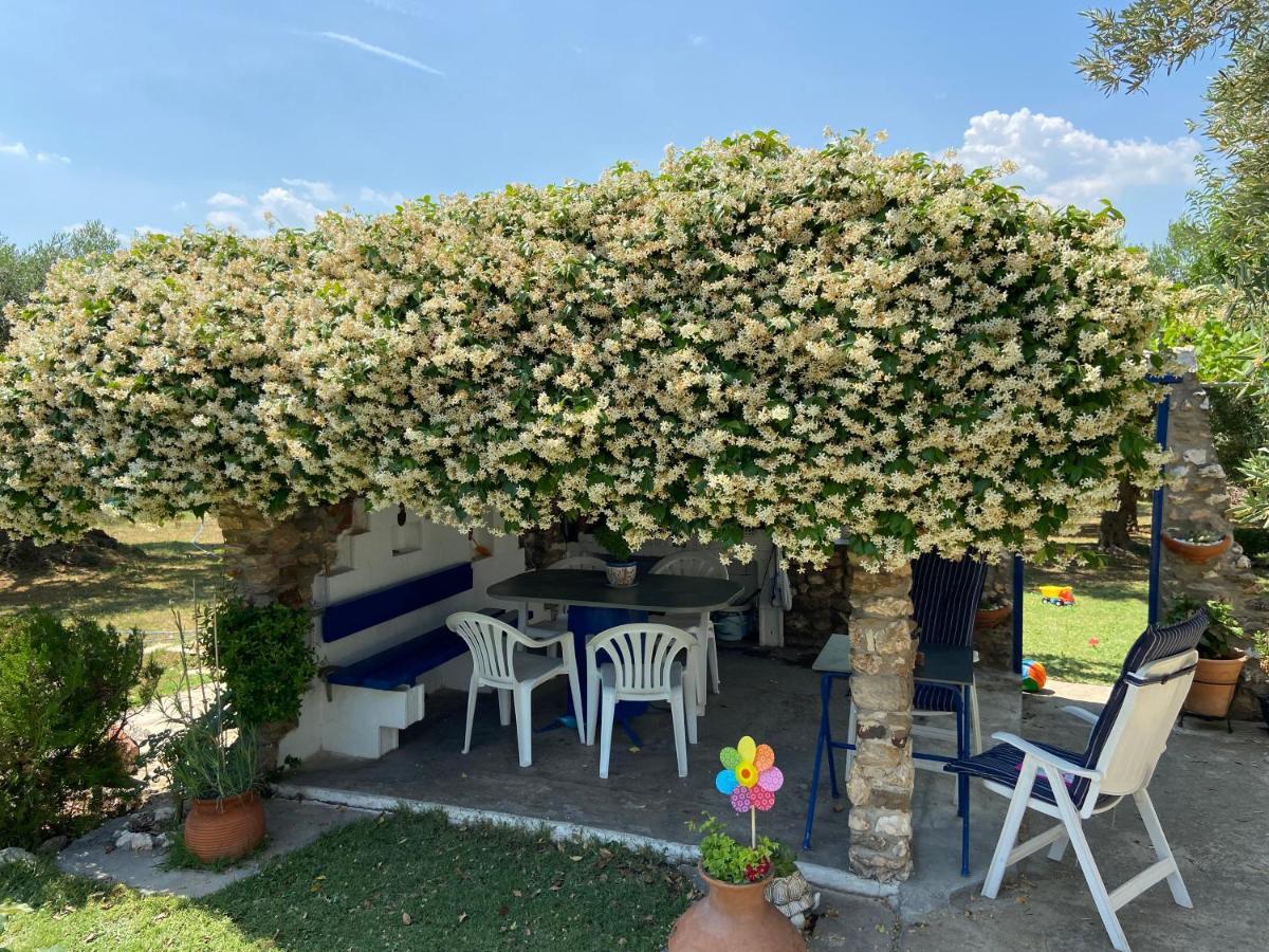 Wine & Olive Studio Gerakini Zewnętrze zdjęcie